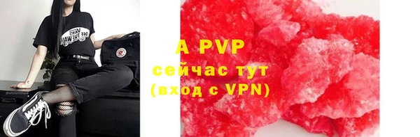 сатива Козловка