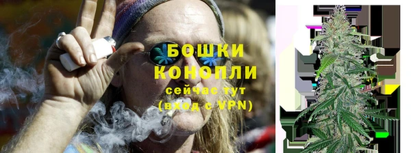 ПСИЛОЦИБИНОВЫЕ ГРИБЫ Вязники