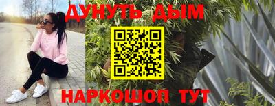 сатива Малгобек