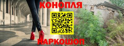 сатива Малгобек
