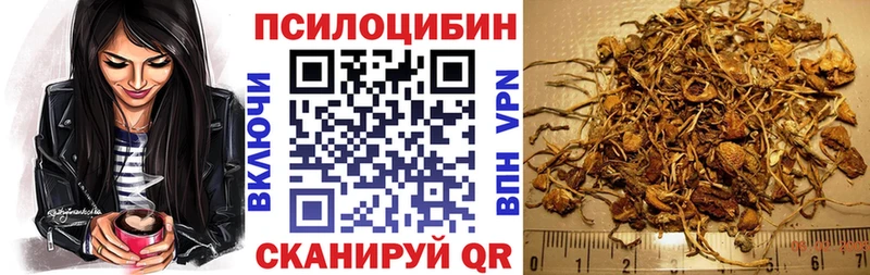 цена   Химки  даркнет Telegram  Псилоцибиновые грибы Cubensis 
