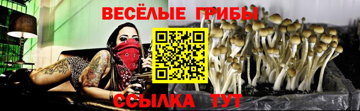 Галлюциногенные грибы Cubensis Химки